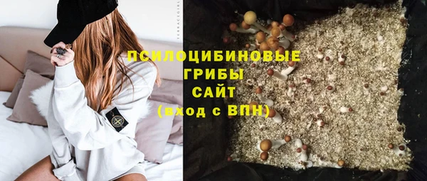 прущая мука Верея