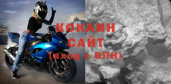 прущие грибы Саяногорск