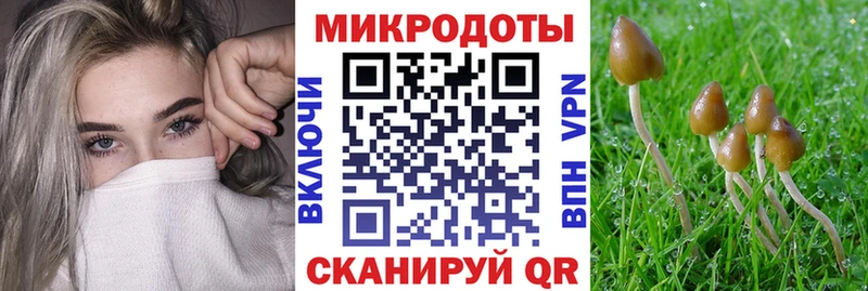 Галлюциногенные грибы Psilocybe  где можно купить   Переславль-Залесский 